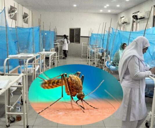 Dengue fever is rapidly increasing across the country Dengue fever is rapidly increasing across the country