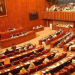 Senate committee summoned the Finance Adviser and the Governor SBP on inflation Senate committee summoned the Finance Adviser and the Governor SBP on inflation