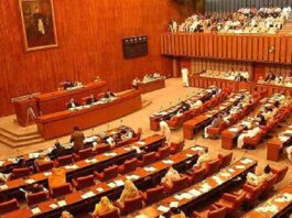 Senate committee summoned the Finance Adviser and the Governor SBP on inflation Senate committee summoned the Finance Adviser and the Governor SBP on inflation