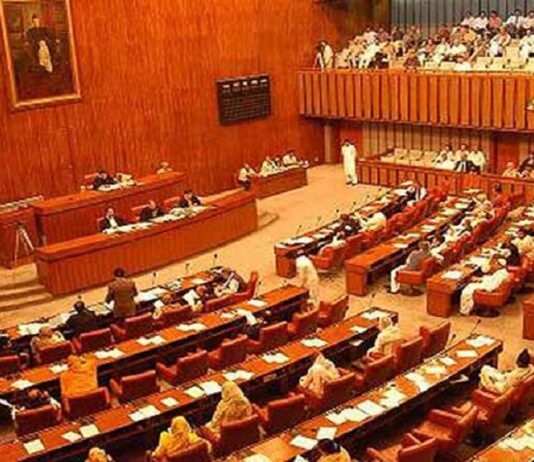 Senate committee summoned the Finance Adviser and the Governor SBP on inflation Senate committee summoned the Finance Adviser and the Governor SBP on inflation