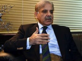 Government has lost its majority: Shahbaz Sharif Government has lost its majority: Shahbaz Sharif
