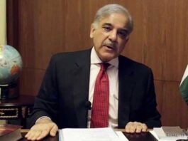 Imran Niazi’s kingdom will not be established in Pakistan: Shahbaz Sharif Imran Niazi's kingdom will not be established in Pakistan: Shahbaz Sharif