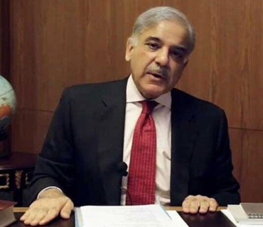 Imran Niazi’s kingdom will not be established in Pakistan: Shahbaz Sharif Imran Niazi's kingdom will not be established in Pakistan: Shahbaz Sharif