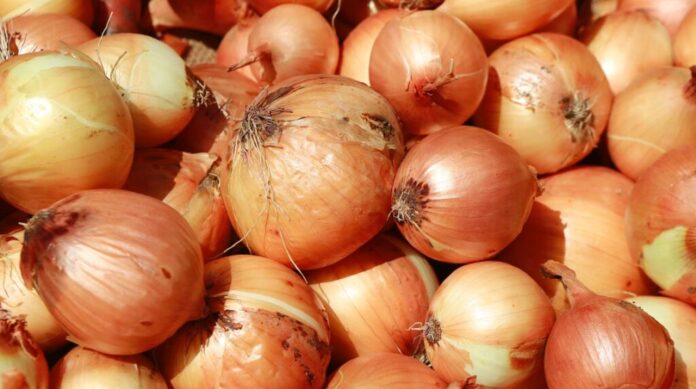 Traders disappointed at the lowest price of exported onions
