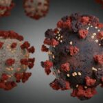 Report of 12 suspected cases of ‘Omicron’ in Balochistan Report of 12 suspected cases of 'Omicron' in Balochistan