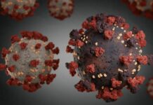 Report of 12 suspected cases of ‘Omicron’ in Balochistan Report of 12 suspected cases of 'Omicron' in Balochistan