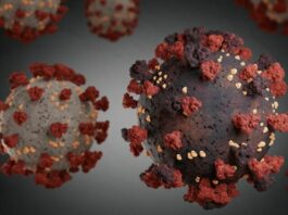 Report of 12 suspected cases of ‘Omicron’ in Balochistan Report of 12 suspected cases of 'Omicron' in Balochistan