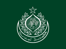 Major websites of Sindh government went offline Major websites of Sindh government went offline