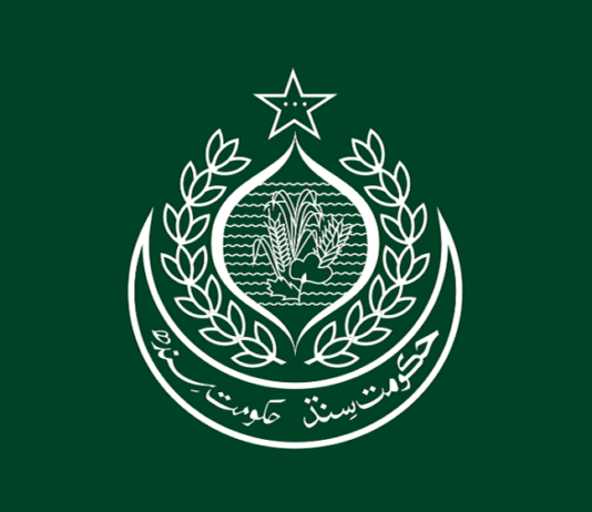 Major websites of Sindh government went offline Major websites of Sindh government went offline