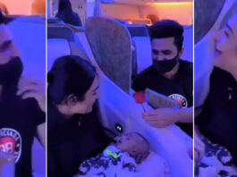 Falak Shabbir presented a beautiful rose to Sara Khan Falak Shabbir presented a beautiful rose to Sara Khan