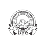 Quetta Board HSSC Part 2 Date Sheet 2022 Bise Quetta